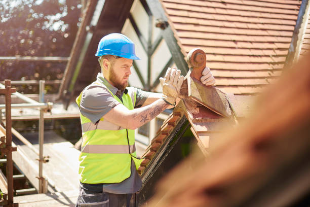 Best Local Roofing Companies  in Vero Lake Estates, FL
