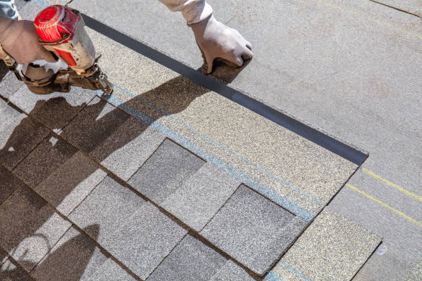Professional Roofing Contractor in Vero Lake Estates, FL