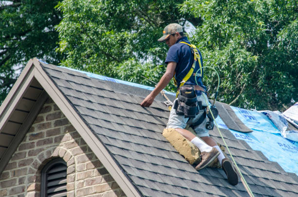 Best Shingle Roofing Installation  in Vero Lake Estates, FL